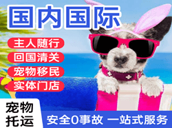 重庆仙女山机场空运国际宠物托运 【国